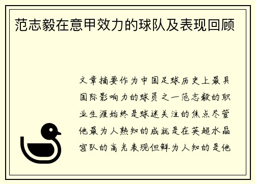 范志毅在意甲效力的球队及表现回顾